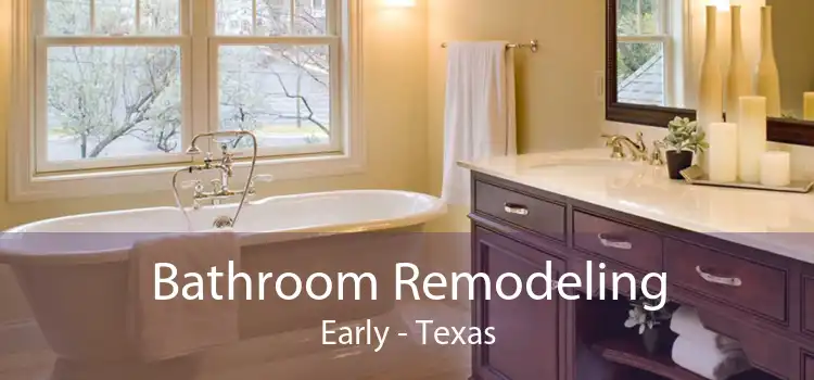 Bathroom Remodeling Early - Texas