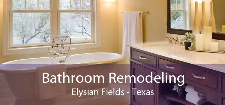 Bathroom Remodeling Elysian Fields - Texas