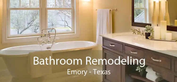 Bathroom Remodeling Emory - Texas
