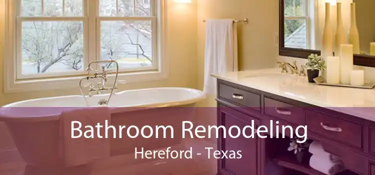Bathroom Remodeling Hereford - Texas