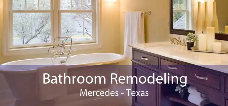 Bathroom Remodeling Mercedes - Texas