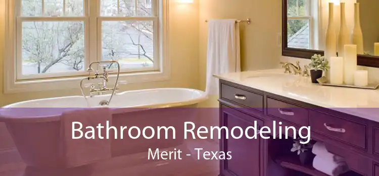 Bathroom Remodeling Merit - Texas