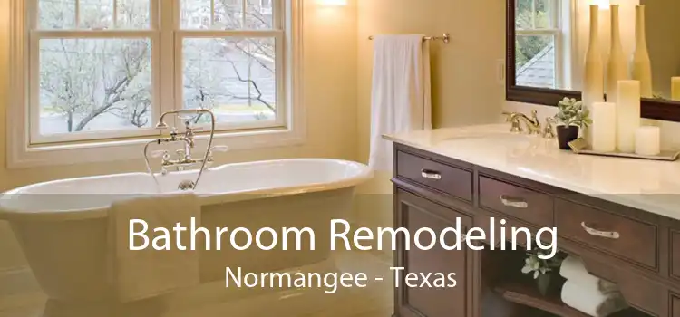 Bathroom Remodeling Normangee - Texas