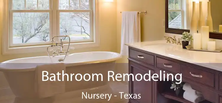 Bathroom Remodeling Nursery - Texas