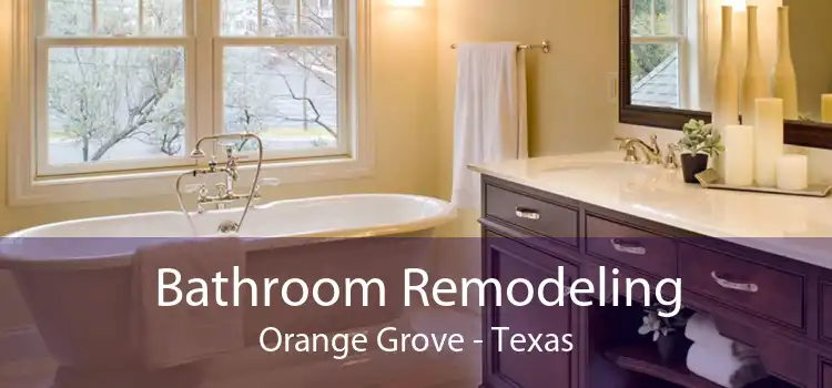 Bathroom Remodeling Orange Grove - Texas