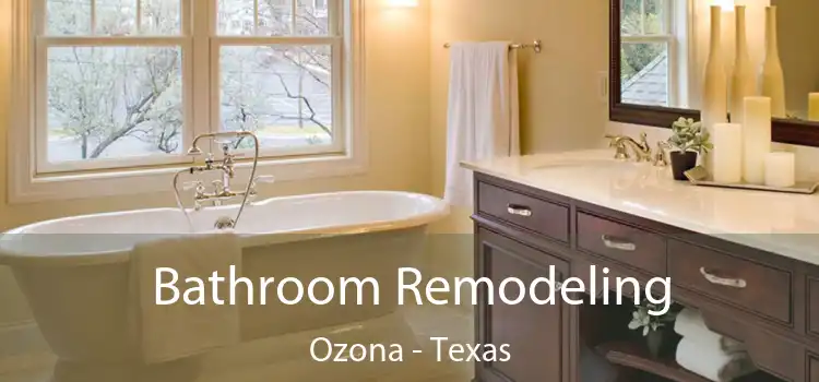 Bathroom Remodeling Ozona - Texas