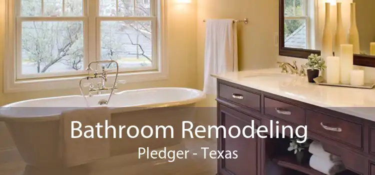 Bathroom Remodeling Pledger - Texas