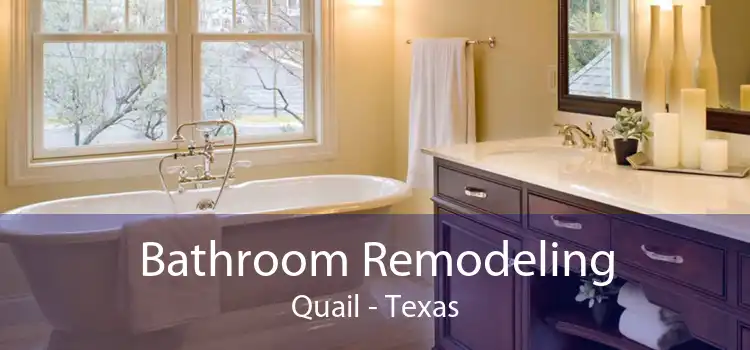 Bathroom Remodeling Quail - Texas