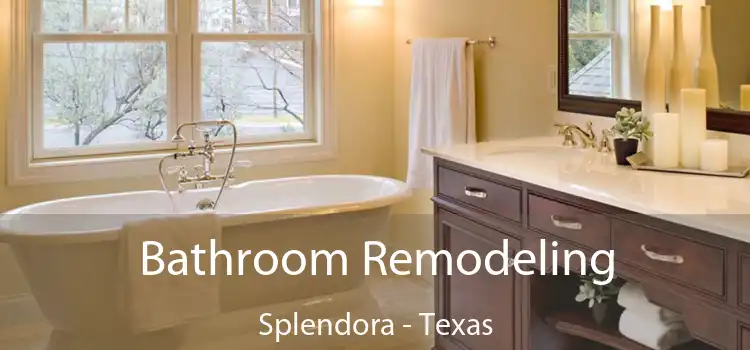 Bathroom Remodeling Splendora - Texas