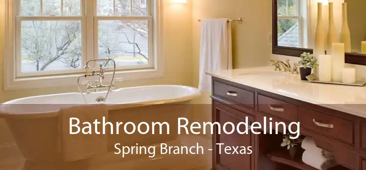 Bathroom Remodeling Spring Branch - Texas