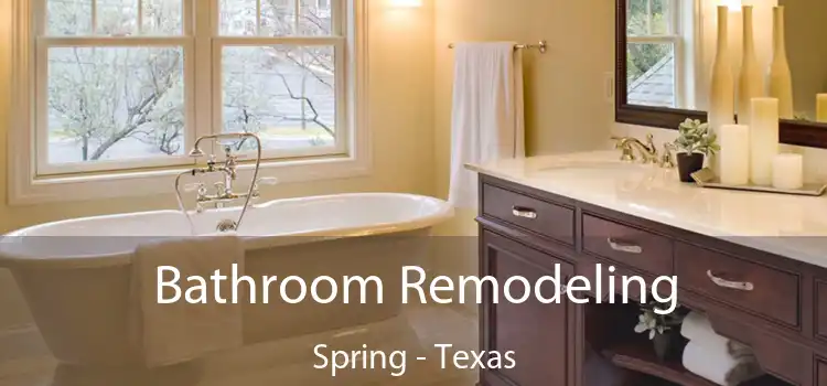 Bathroom Remodeling Spring - Texas