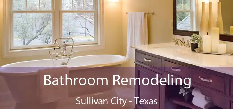 Bathroom Remodeling Sullivan City - Texas