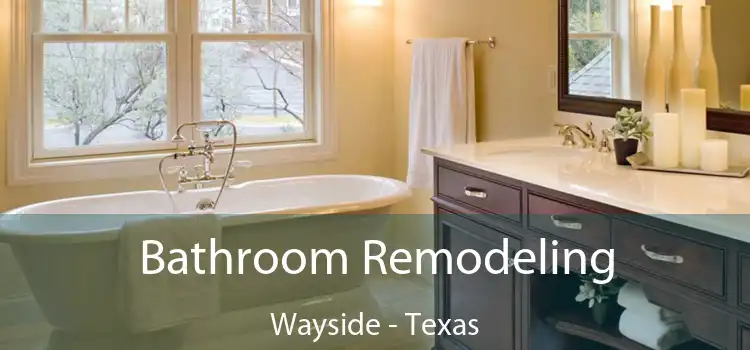 Bathroom Remodeling Wayside - Texas