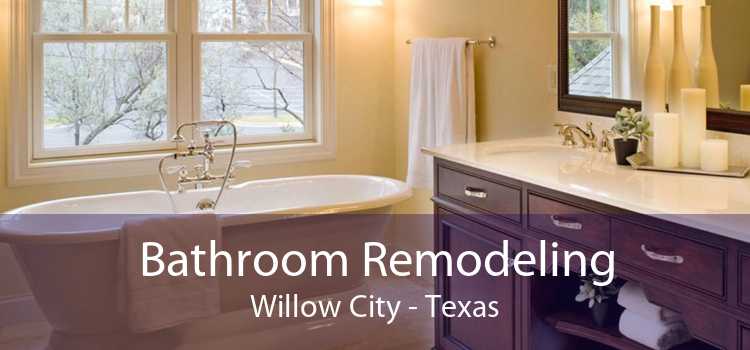Bathroom Remodeling Willow City - Texas