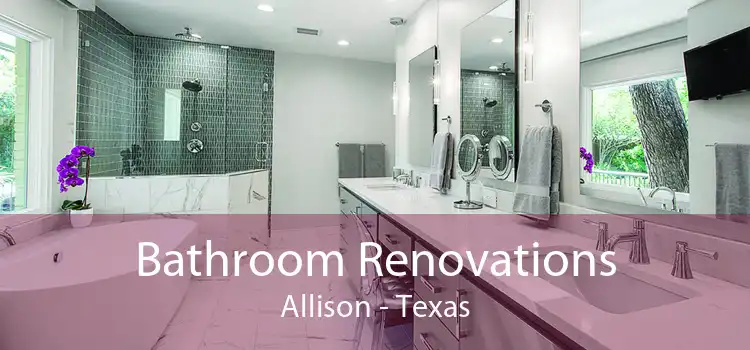 Bathroom Renovations Allison - Texas