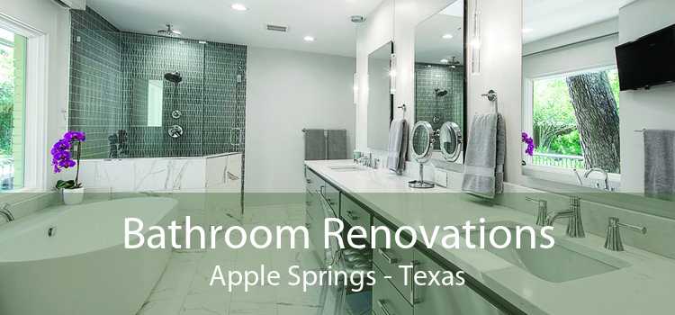 Bathroom Renovations Apple Springs - Texas