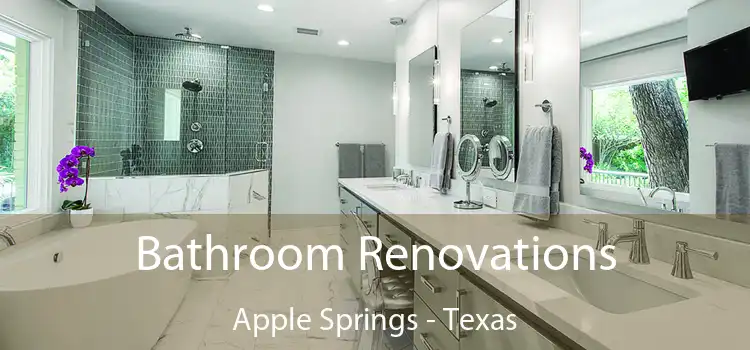 Bathroom Renovations Apple Springs - Texas