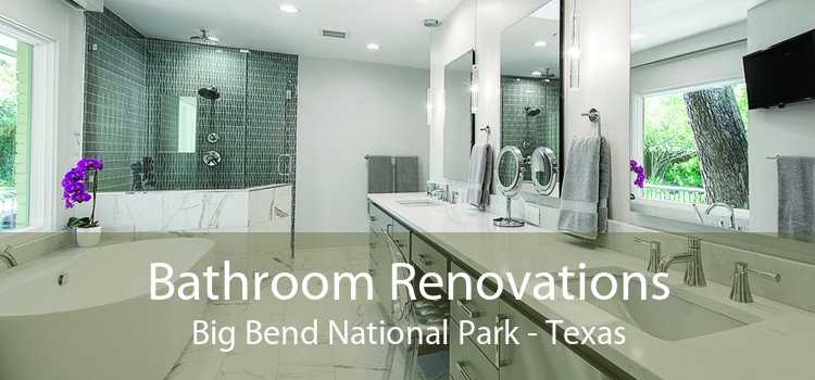 Bathroom Renovations Big Bend National Park - Texas