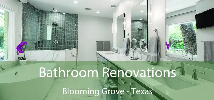 Bathroom Renovations Blooming Grove - Texas