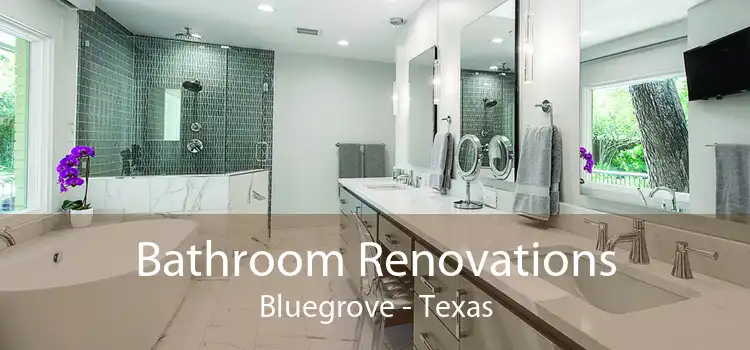 Bathroom Renovations Bluegrove - Texas