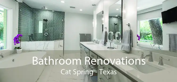 Bathroom Renovations Cat Spring - Texas