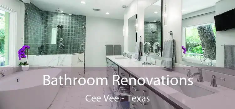 Bathroom Renovations Cee Vee - Texas