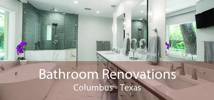 Bathroom Renovations Columbus - Texas