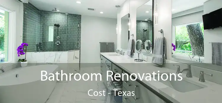Bathroom Renovations Cost - Texas