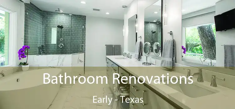 Bathroom Renovations Early - Texas