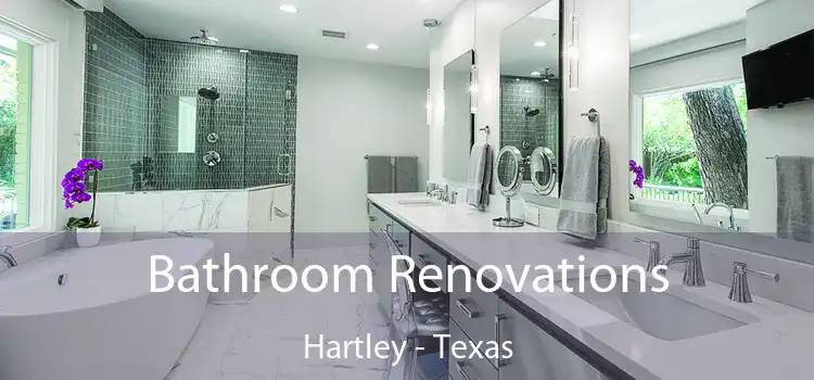 Bathroom Renovations Hartley - Texas