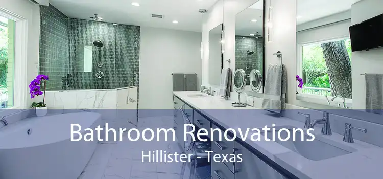 Bathroom Renovations Hillister - Texas