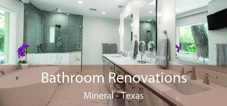 Bathroom Renovations Mineral - Texas