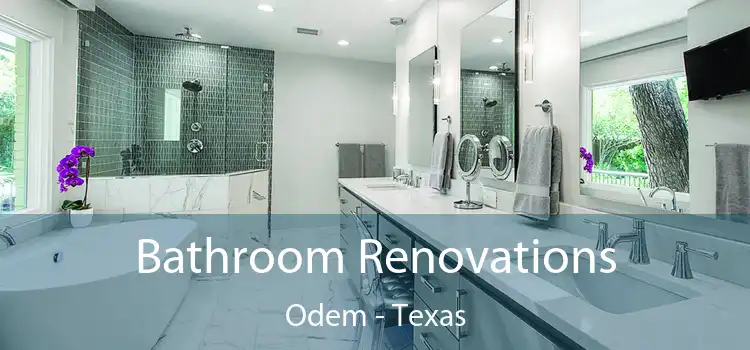 Bathroom Renovations Odem - Texas