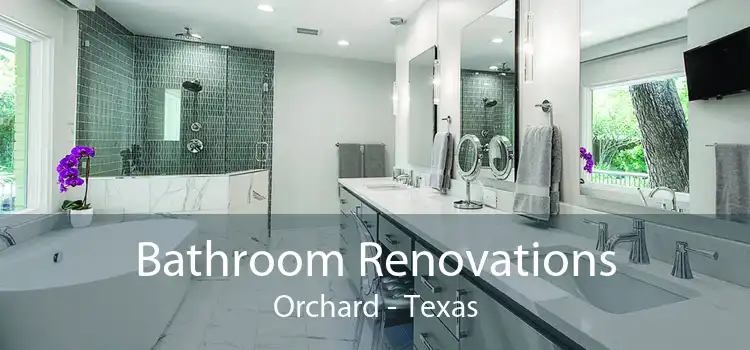 Bathroom Renovations Orchard - Texas
