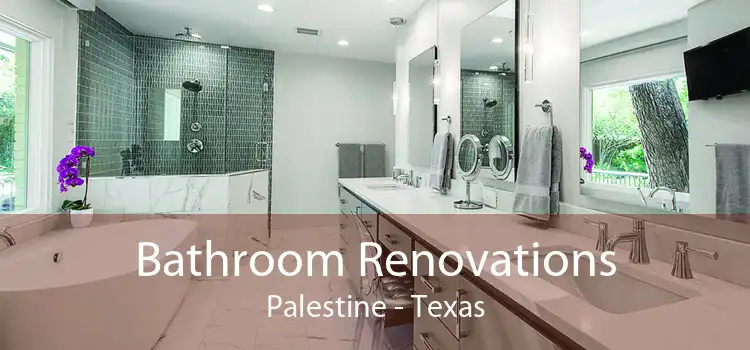 Bathroom Renovations Palestine - Texas