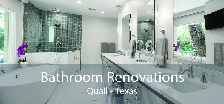 Bathroom Renovations Quail - Texas