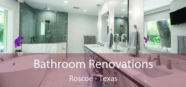 Bathroom Renovations Roscoe - Texas