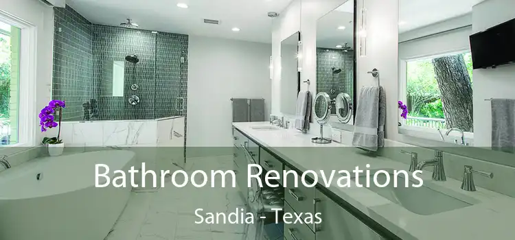 Bathroom Renovations Sandia - Texas