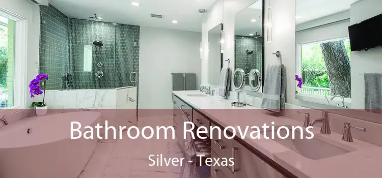 Bathroom Renovations Silver - Texas