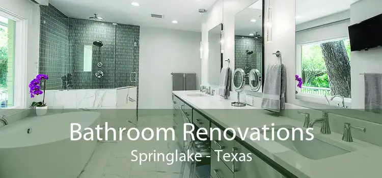 Bathroom Renovations Springlake - Texas