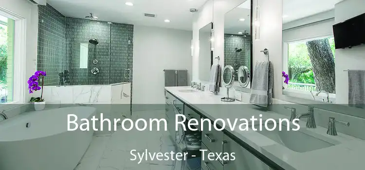 Bathroom Renovations Sylvester - Texas