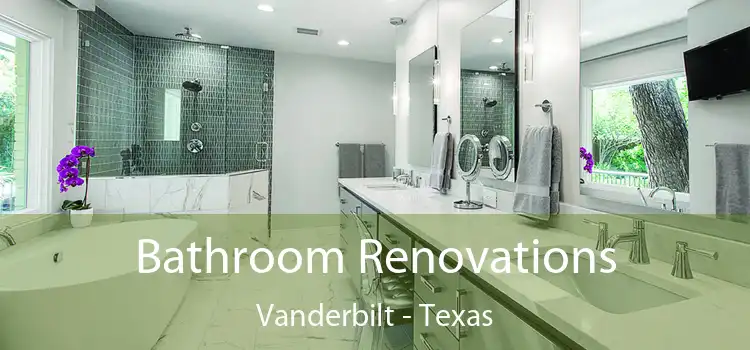 Bathroom Renovations Vanderbilt - Texas