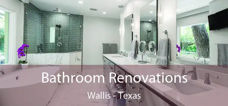 Bathroom Renovations Wallis - Texas
