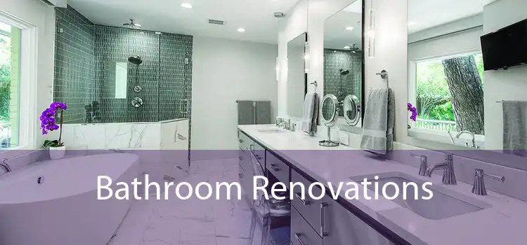 Bathroom Renovations 