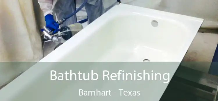 Bathtub Refinishing Barnhart - Texas