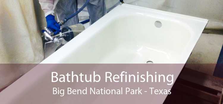 Bathtub Refinishing Big Bend National Park - Texas