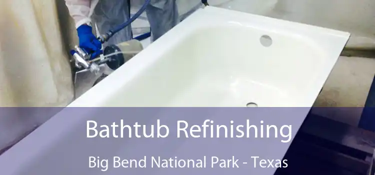 Bathtub Refinishing Big Bend National Park - Texas
