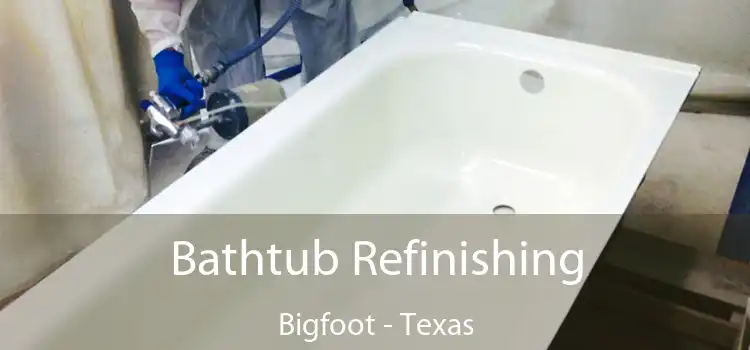 Bathtub Refinishing Bigfoot - Texas