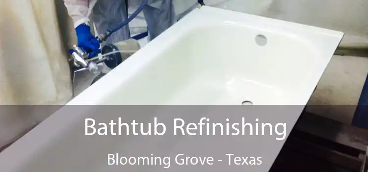 Bathtub Refinishing Blooming Grove - Texas