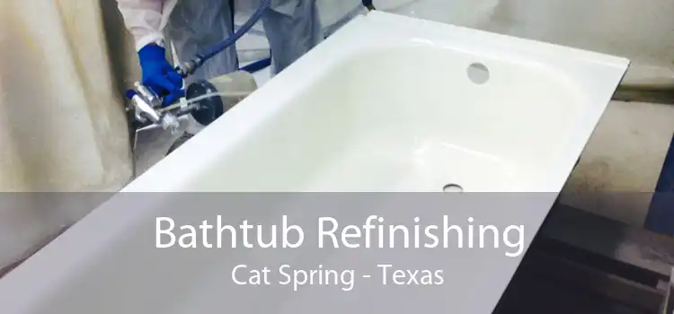 Bathtub Refinishing Cat Spring - Texas